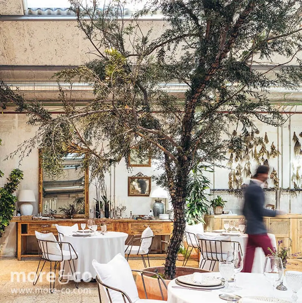 Comedor de un restaurante con manteles blancos, sillas modernas, grandes plantas de interior y obras de arte enmarcadas en las paredes; una persona pasa junto a las mesas.